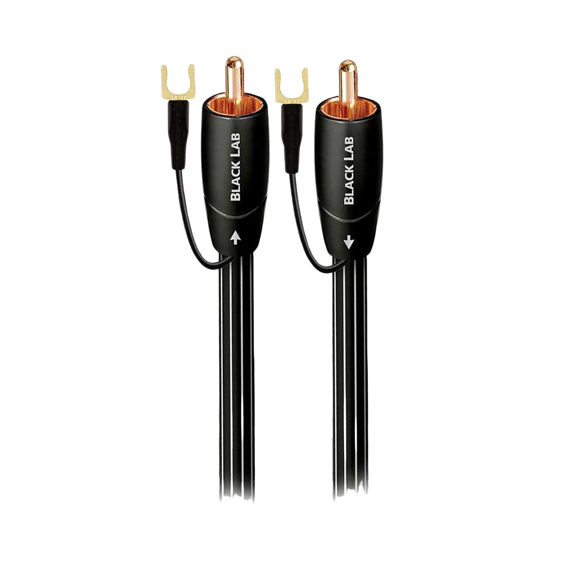 AudioQuest Black Lab RCA Male to RCA Male Subwoofer Cable - Clearance / Open Box