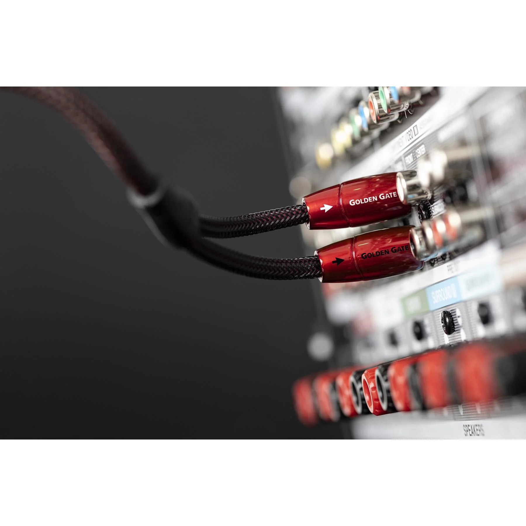AudioQuest Golden Gate RCA to RCA Audio Interconnect Cable - Image 3