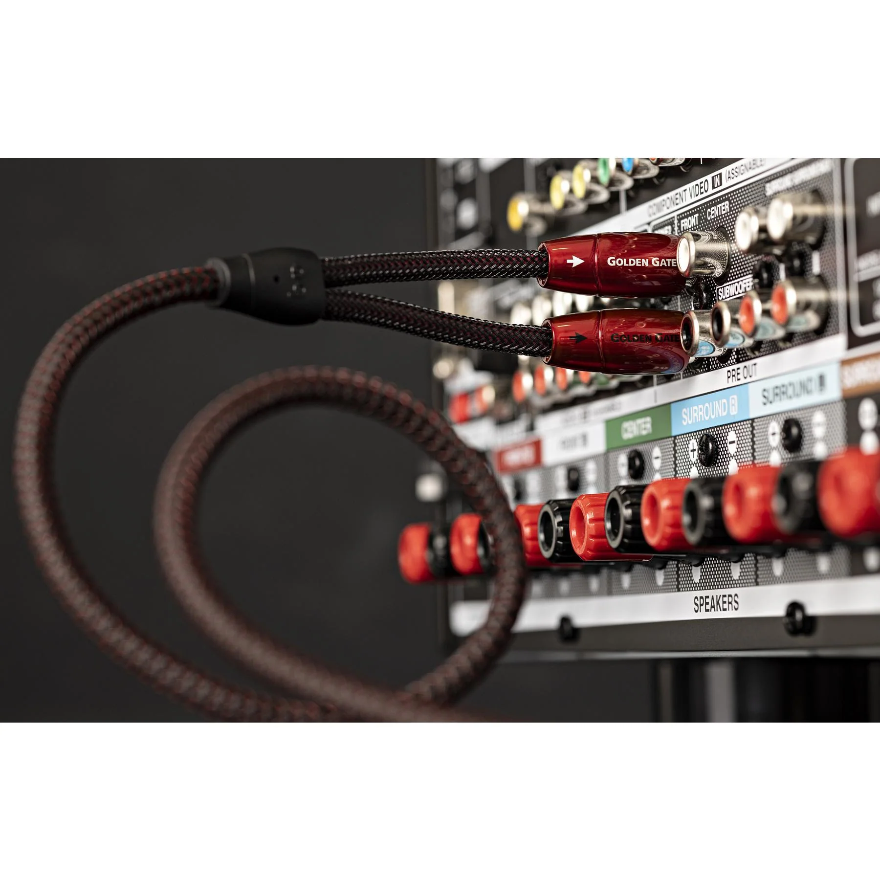 AudioQuest Golden Gate RCA to RCA Audio Interconnect Cable - Image 4