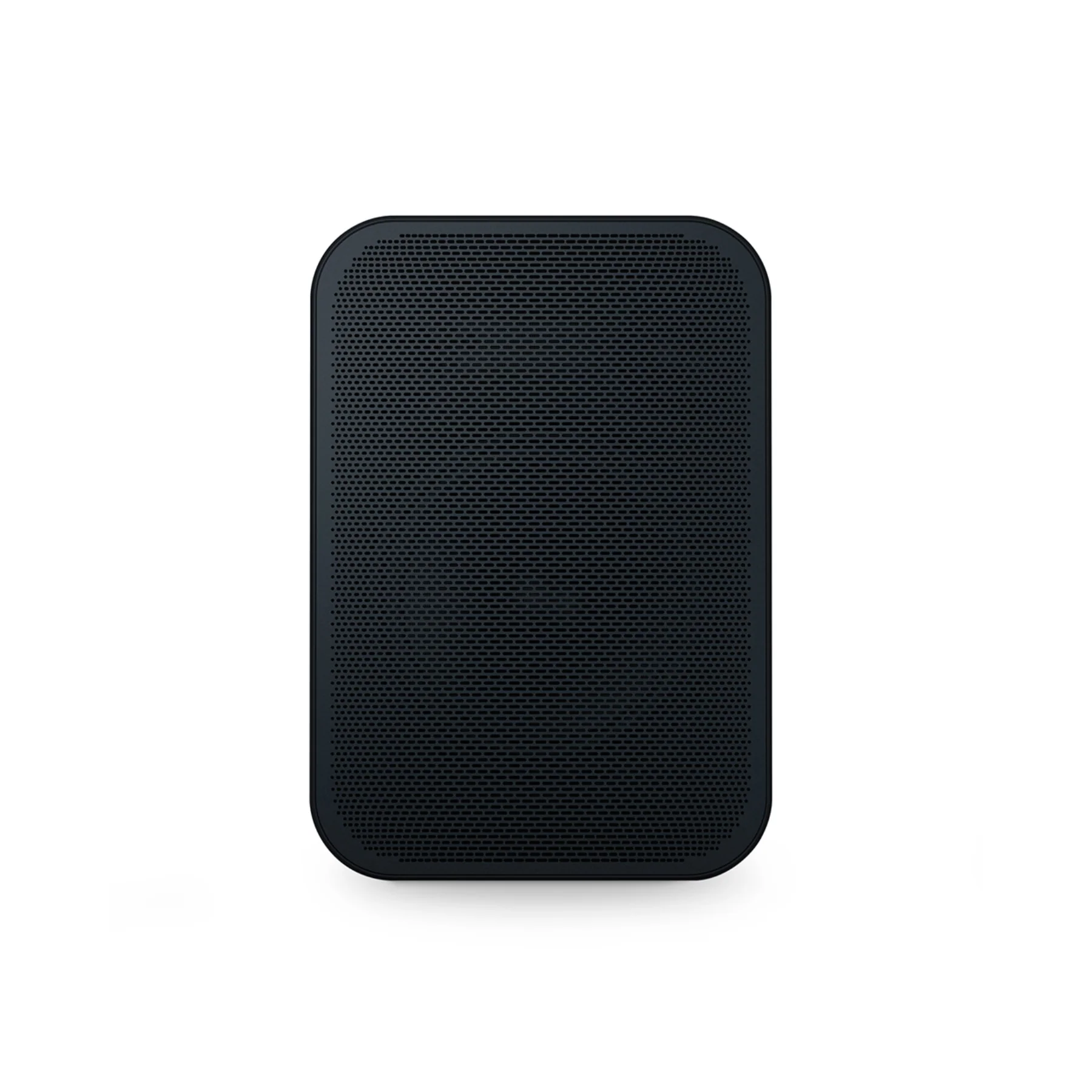 Bluesound PULSE FLEX 2i Portable Wireless Speaker