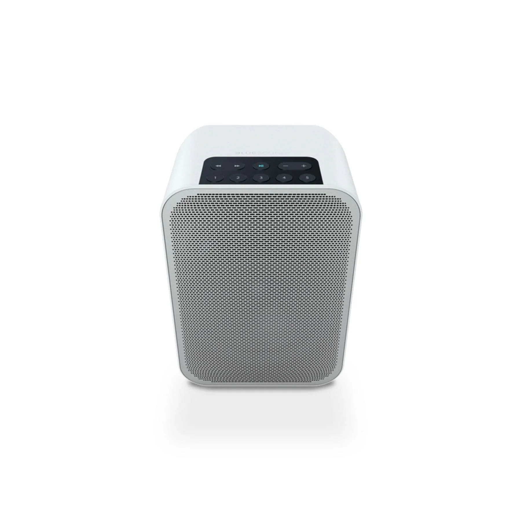 Bluesound PULSE FLEX 2i Portable Wireless Speaker - Image 5