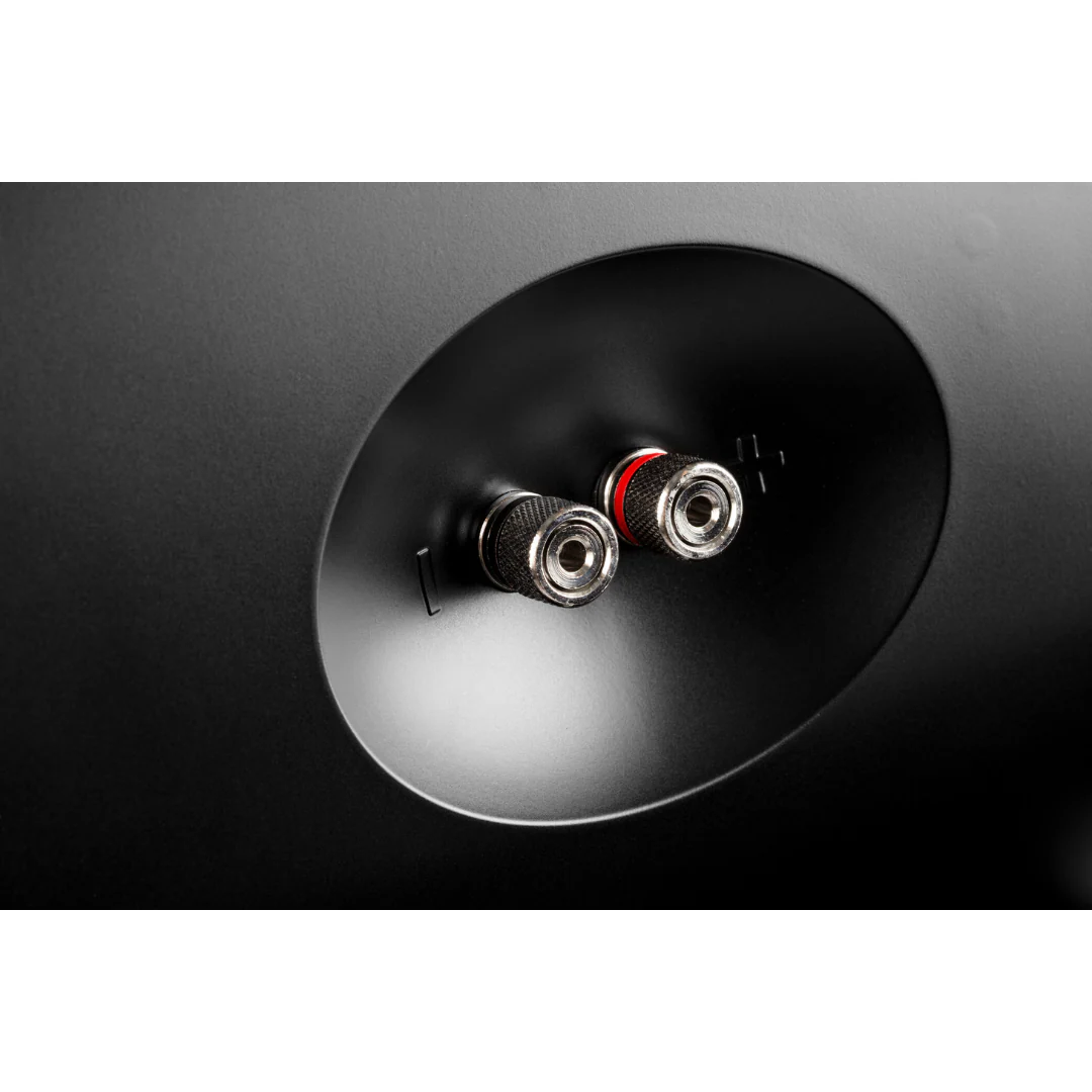 Definitive Technology Dymension AW-550 Outdoor Speaker Pair - Image 8