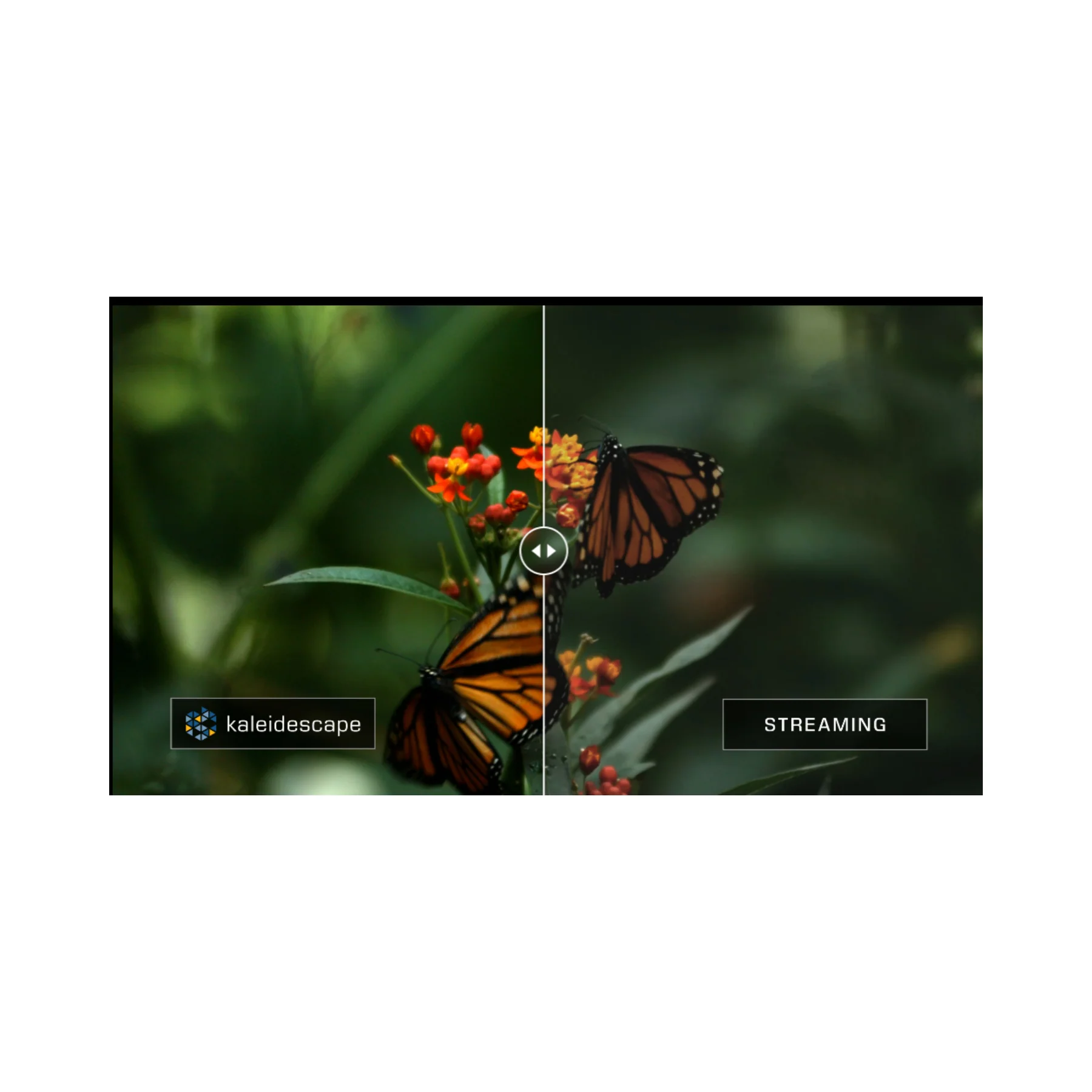 Kaleidescape Strato V 4K Dolby Vision Movie Player - Image 4