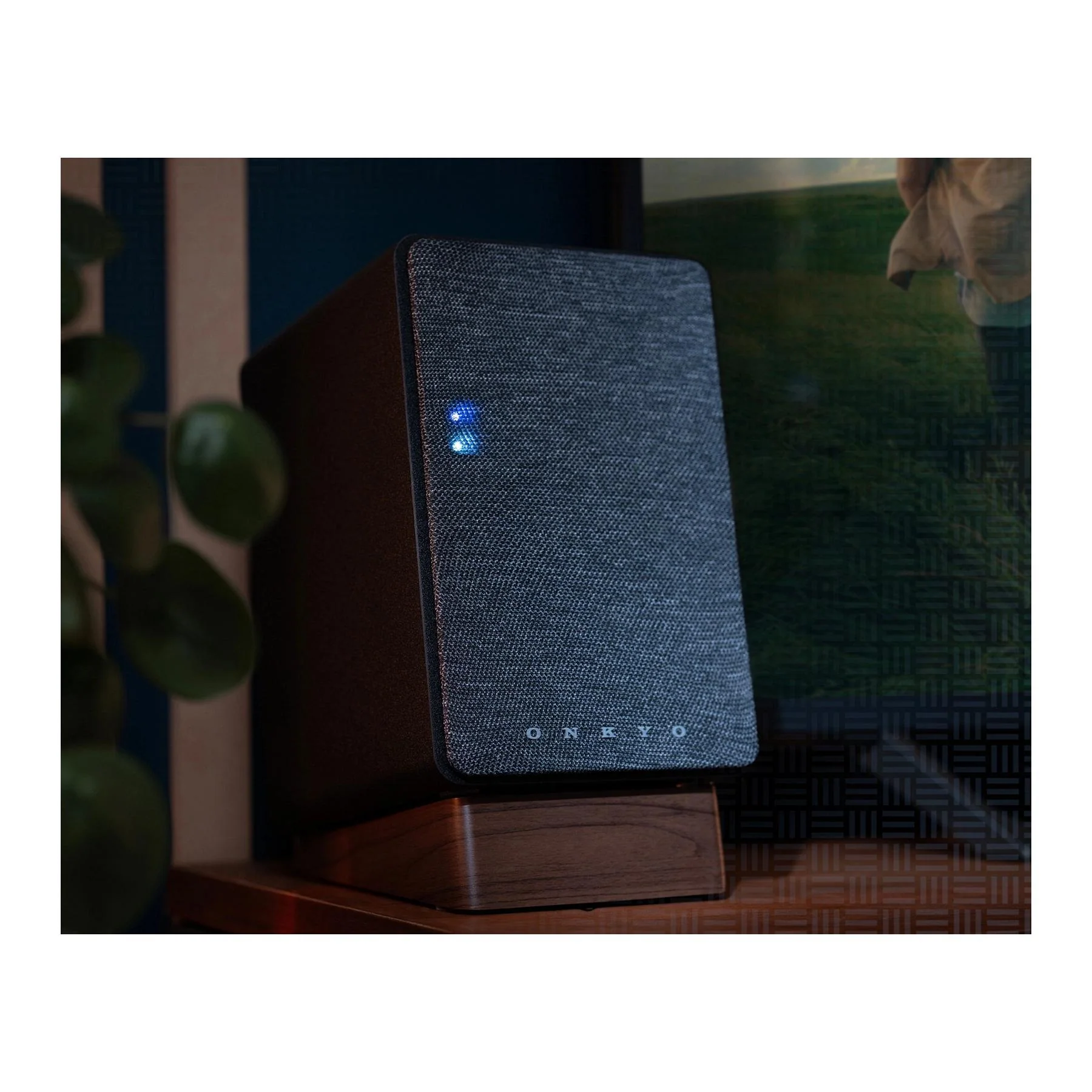 Onkyo GX-10DB Powered Desktop Speakers - Image 3