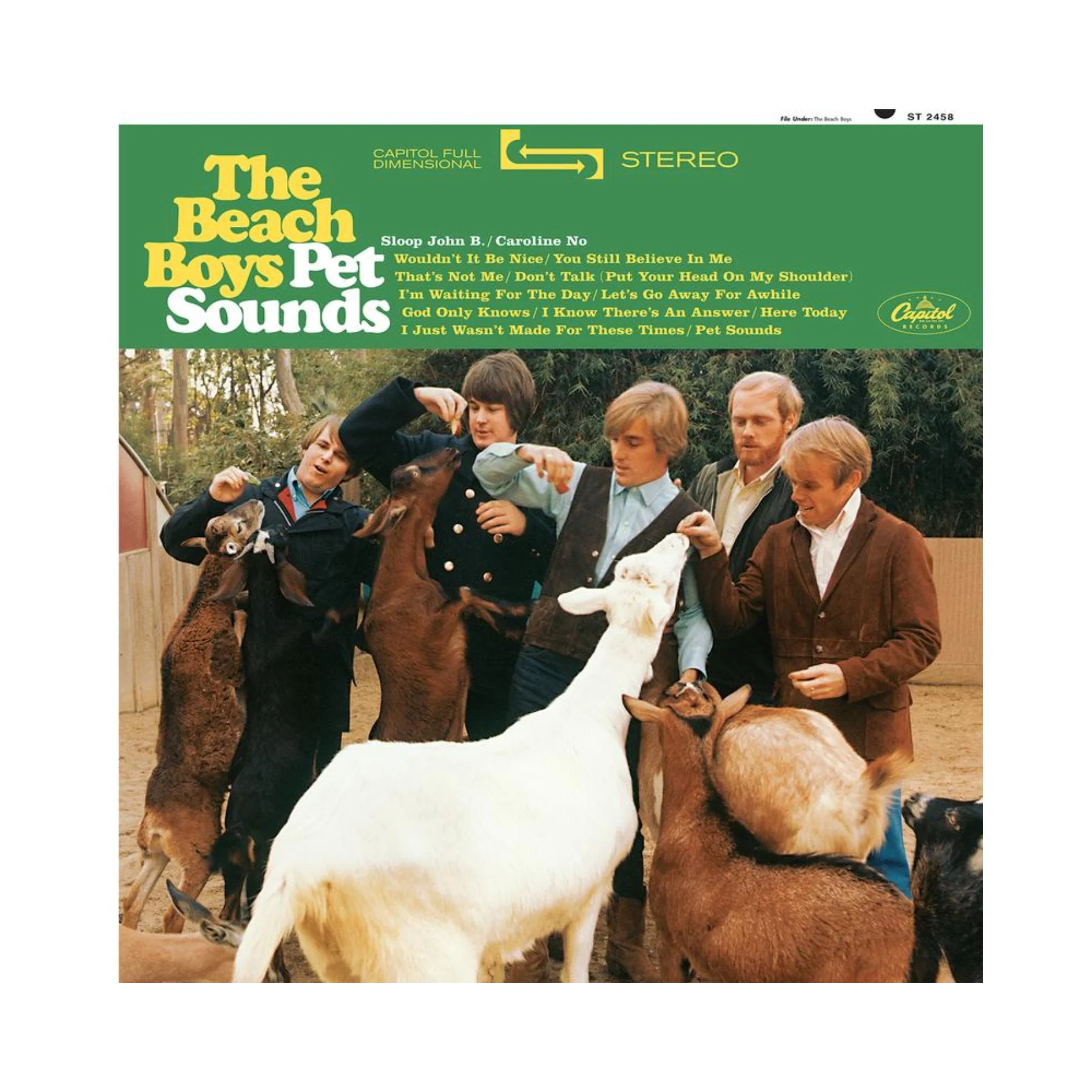The Beach Boys - Pet Sounds (Stereo 45RPM 2LP Vinyl)