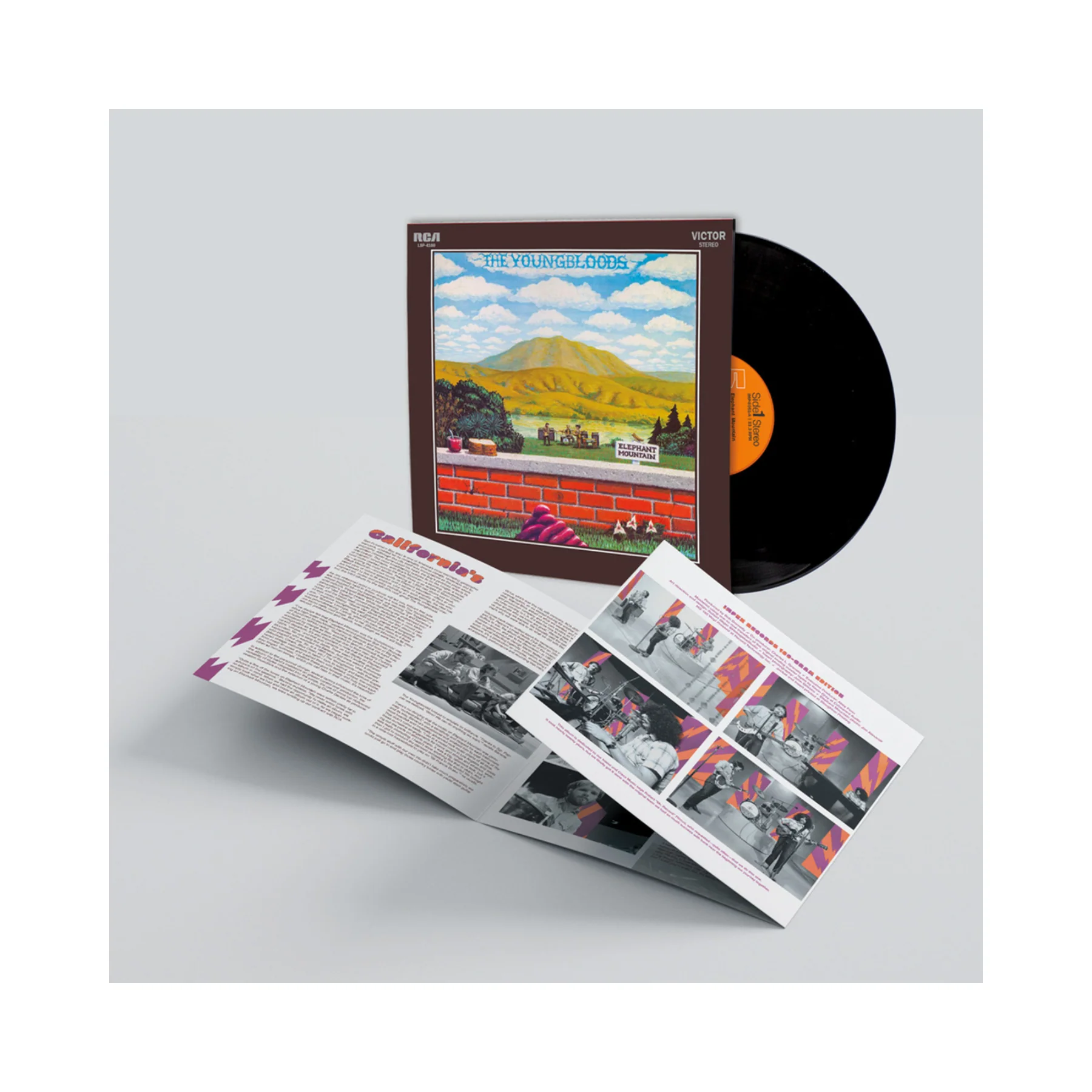 The Youngbloods Elephant Mountain 180g LP - Image 2