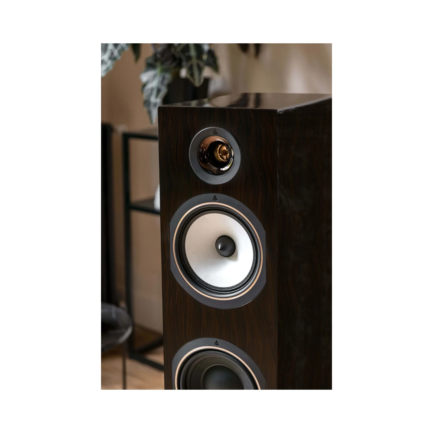 Triangle 40th Anniversary Antal Floorstanding Speaker - Each (Rosewood) - Clearance / Open Box - Image 5