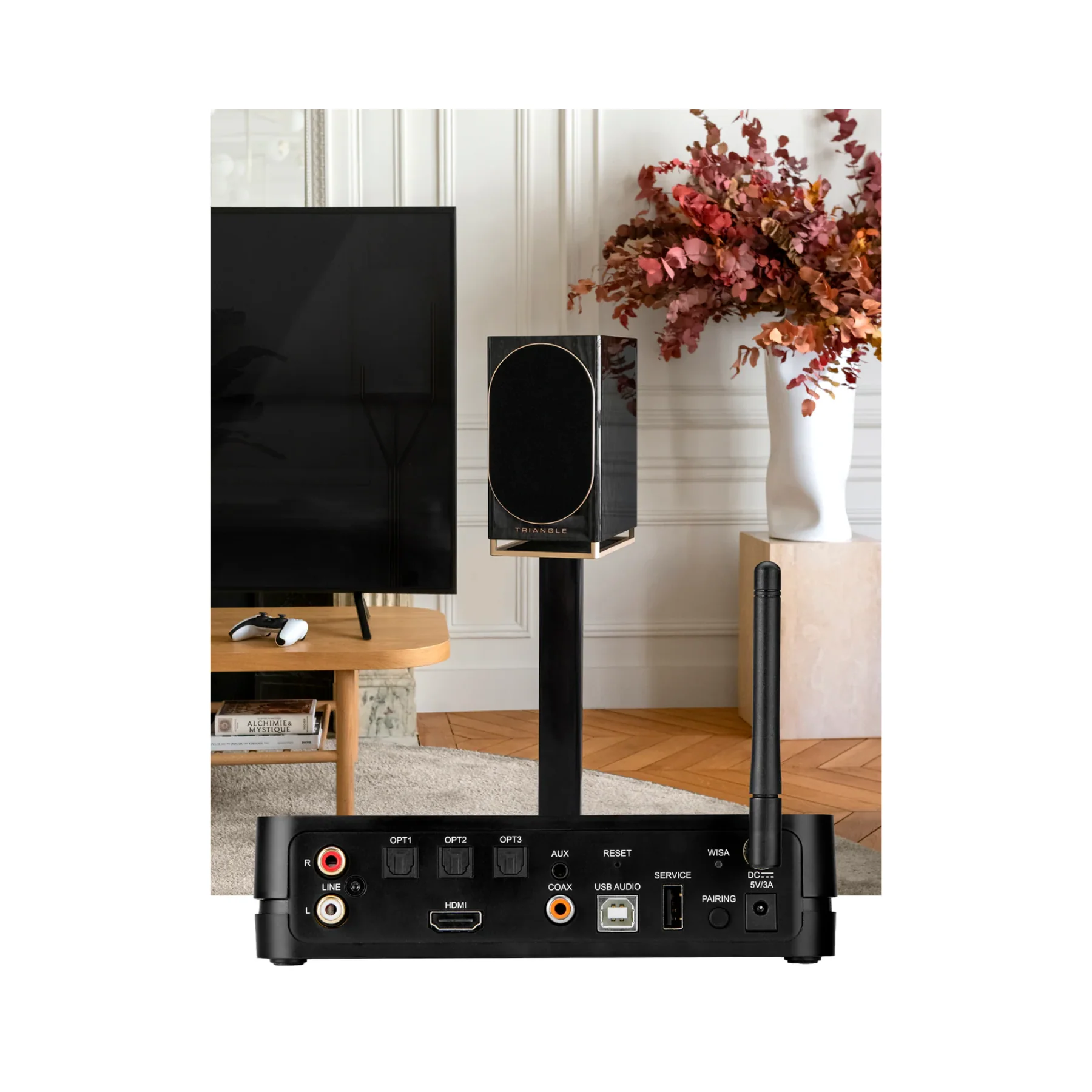 Triangle Capella WiFi & Bluetooth Powered Speakers (Pair) - Image 9